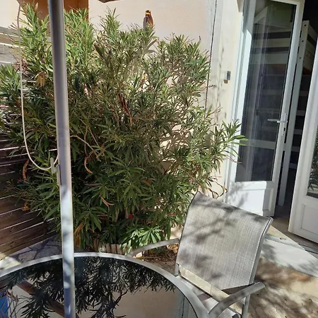 Studette Le Colibri Yourhosthelper *