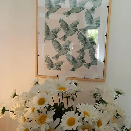 Apartment Studette Le Colibri Yourhosthelper *