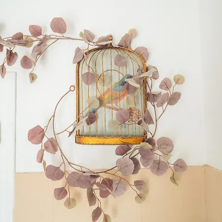 Studette Le Colibri Yourhosthelper Vias
